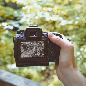 Online Workshop: Capturing Candid Moments in Amusement Parks