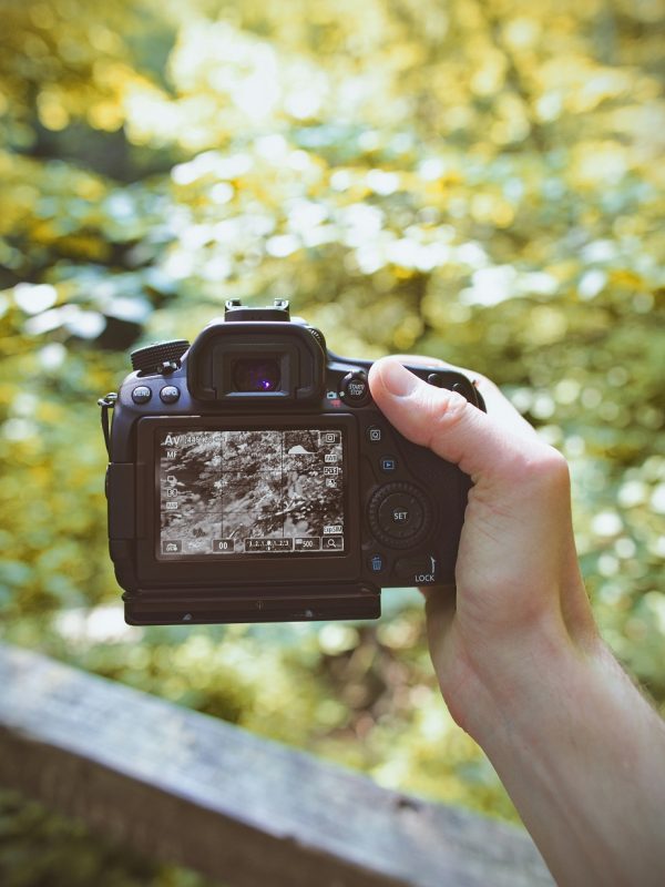 Online Workshop: Capturing Candid Moments in Amusement Parks